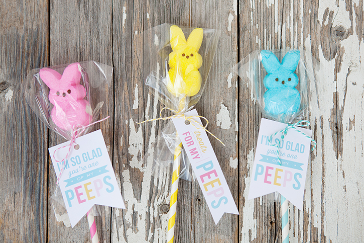 Use B3X5NF as a bag for for these Peep Pops