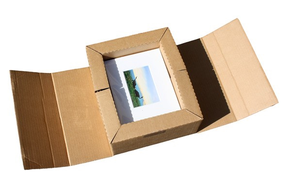 ClearBags offers Airsafe Boxes in a variety of sizes.