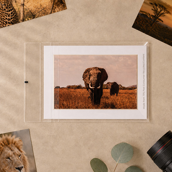 The Protective Closure (like BR775PC shown above) are perfect for photographs and artwork. The adhesive on the bag allows you to easily insert and remove items without damage.